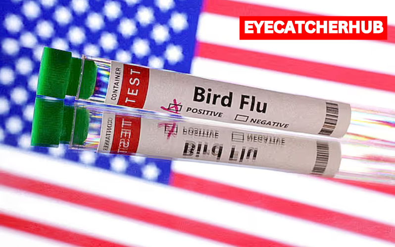 U.S. reported first outbreak of H5N9 bird flu in poultry, WOAH says